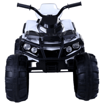 Квадроцикл Grizzly ATV BDM0906: фото