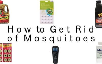 How to get rid of mosquitoes min: photo