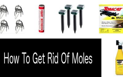 How To Get Rid Of Moles min: photo